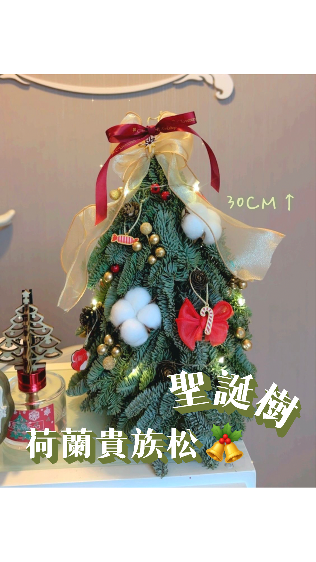 【製成品/工作坊】新鮮荷蘭貴族松聖誕樹(30CM聖誕樹)