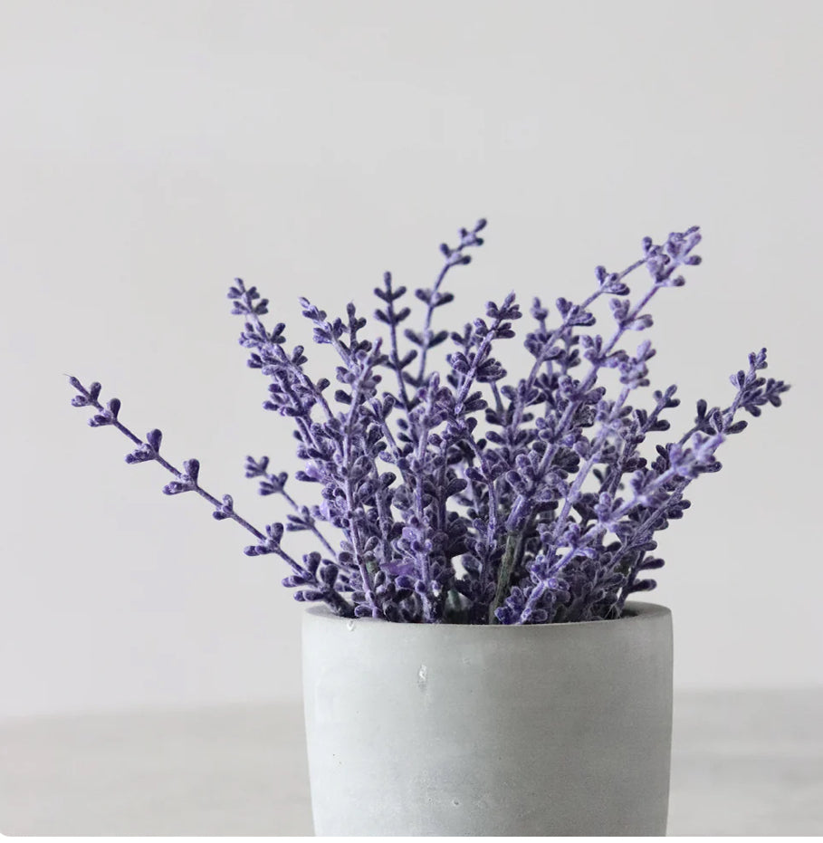 【預訂】MESSEGUE Organic Lavender Floral Water 有機薰衣草花水