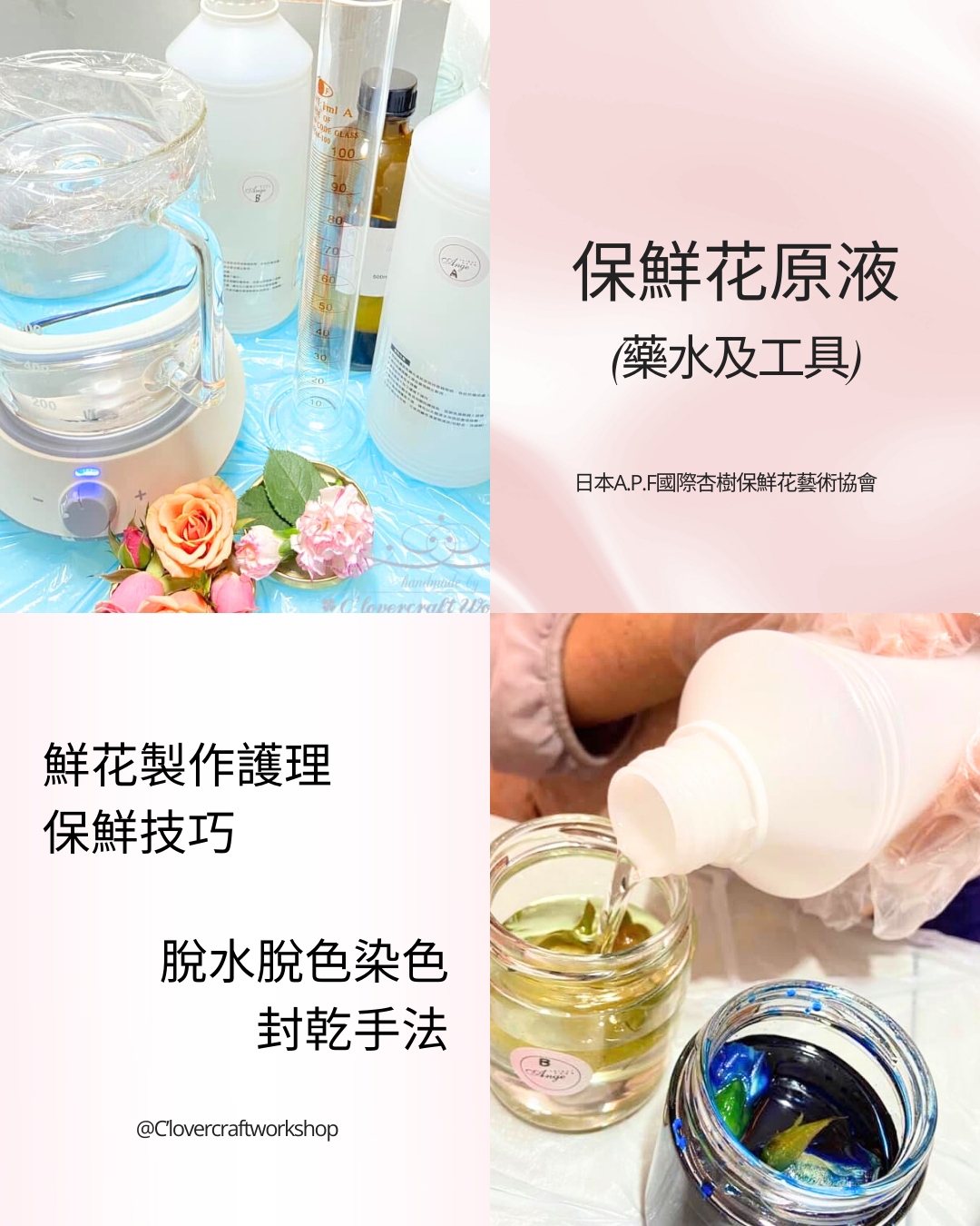 【一日制】鮮花製作保鮮花證書課程（入門班）