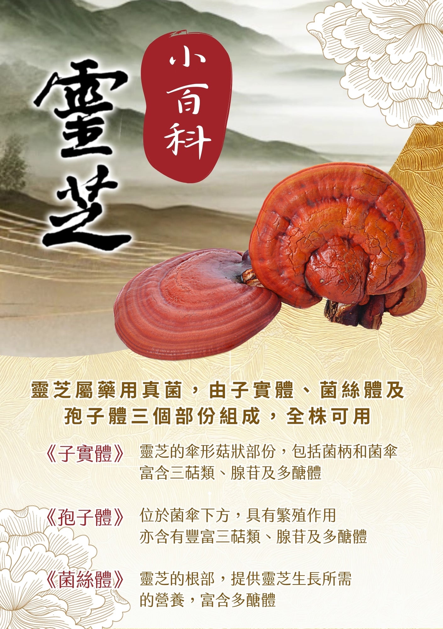 【預購】極品靈芝複方即溶飲品(50包/盒）